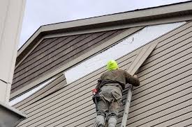 Best Fascia and Soffit Installation  in North Corbin, KY